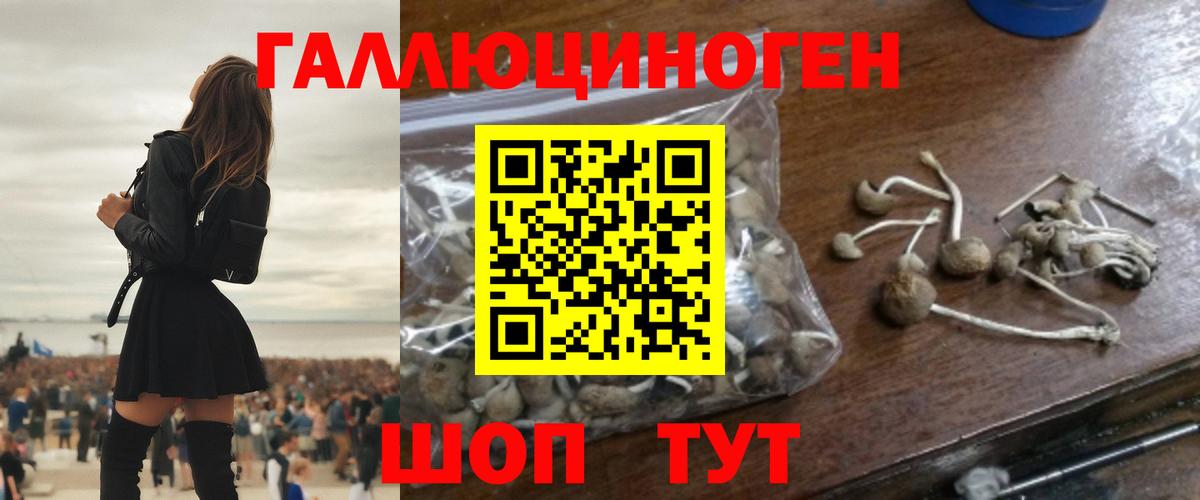 даркнет сайт  Вход с VPN  Серпухов  Псилоцибиновые грибы мицелий 